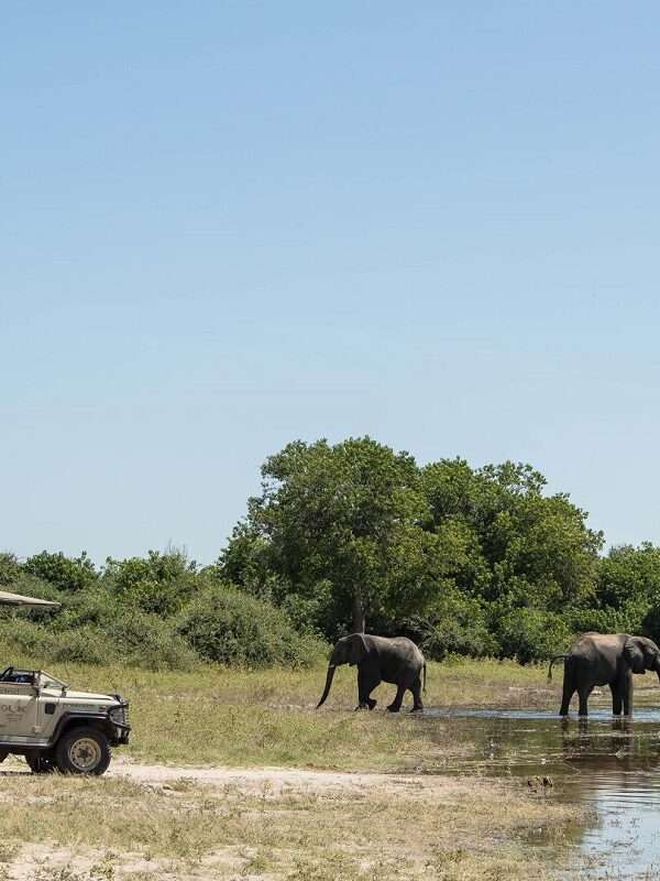 Chobe Game Lodge