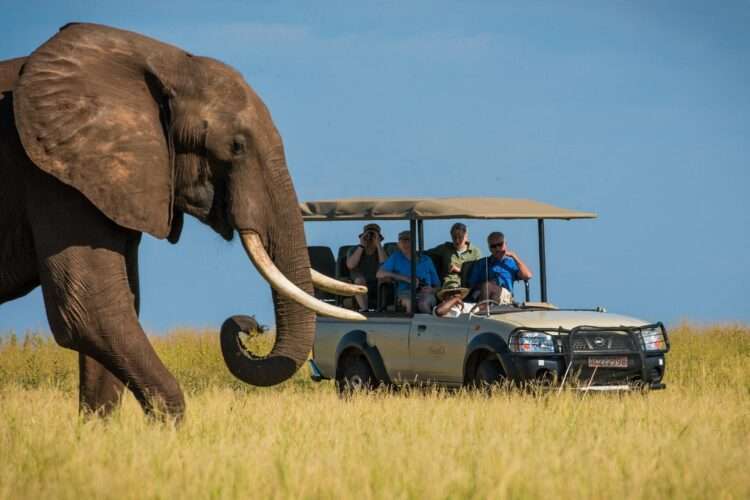 Emerald Zimbabwe