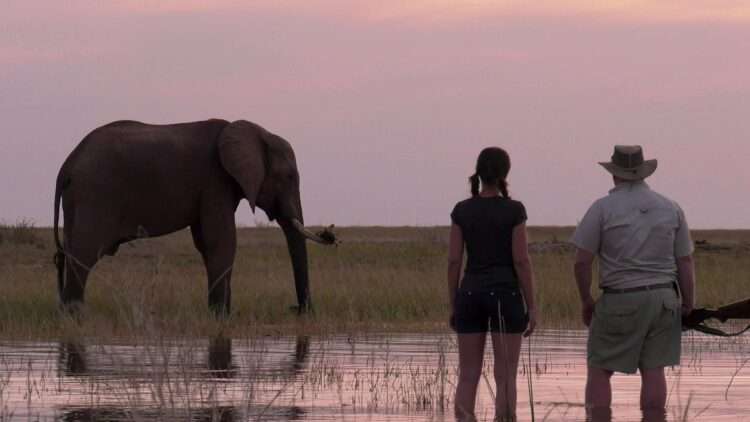 Emerald Zimbabwe