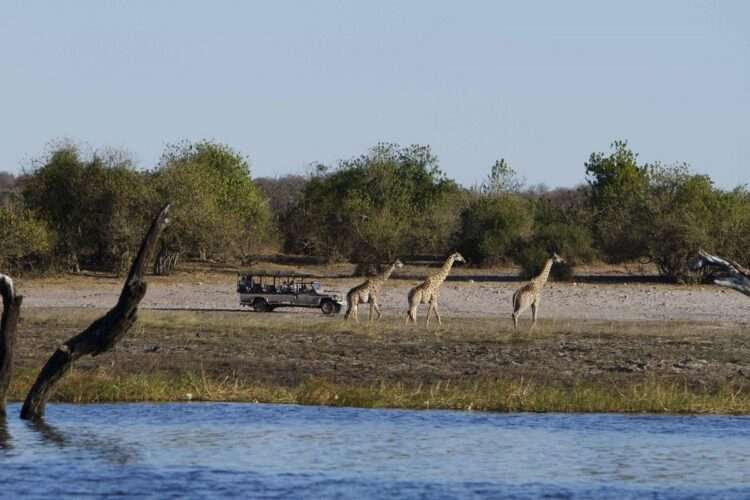 Chobe Game Lodge