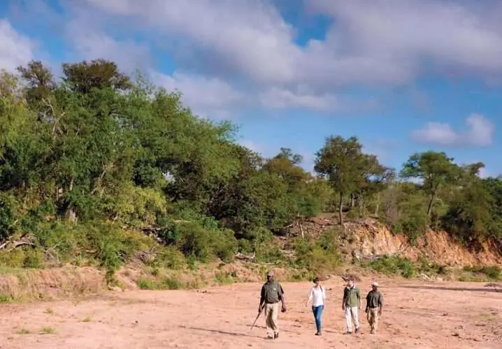 Best Of Madikwe And Timbavati Safari