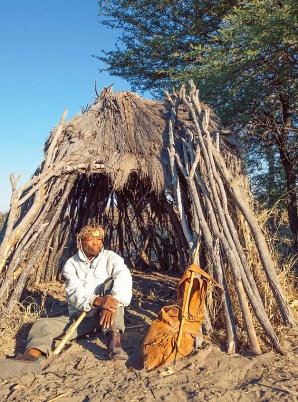 Incredible Kalahari Safari