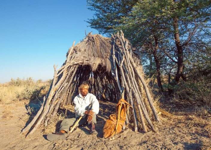 Incredible Kalahari Safari