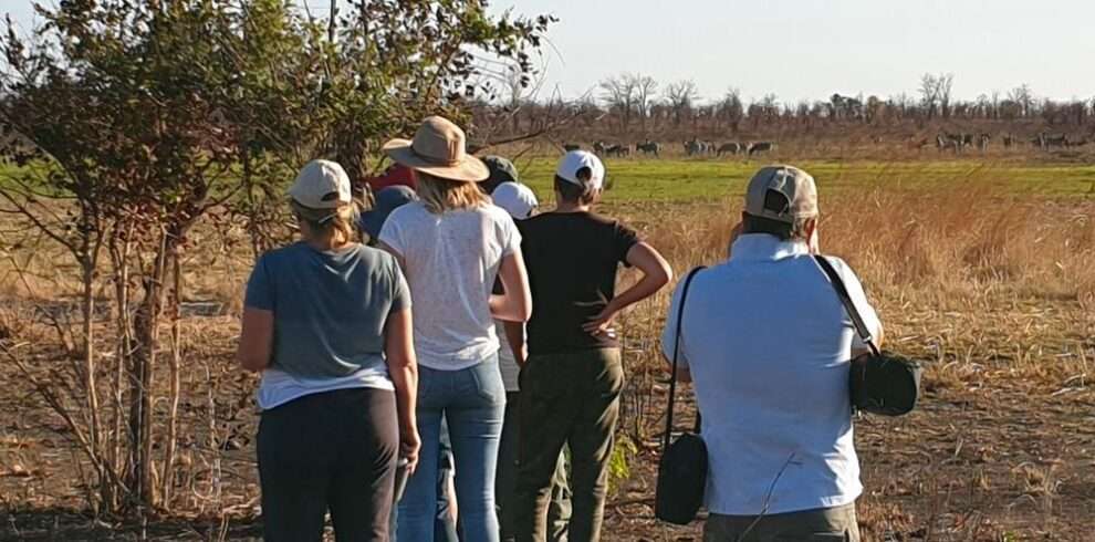 Victoria Falls, Chobe River And Hwange