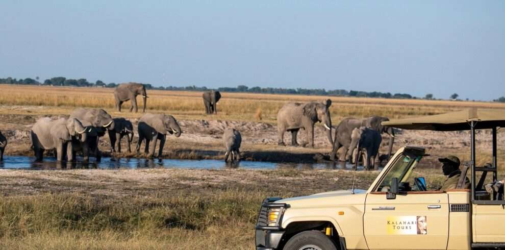 Chobe Camping Safari