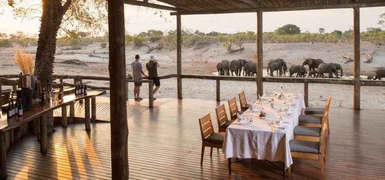 Botswana Luxury Lodge Safari