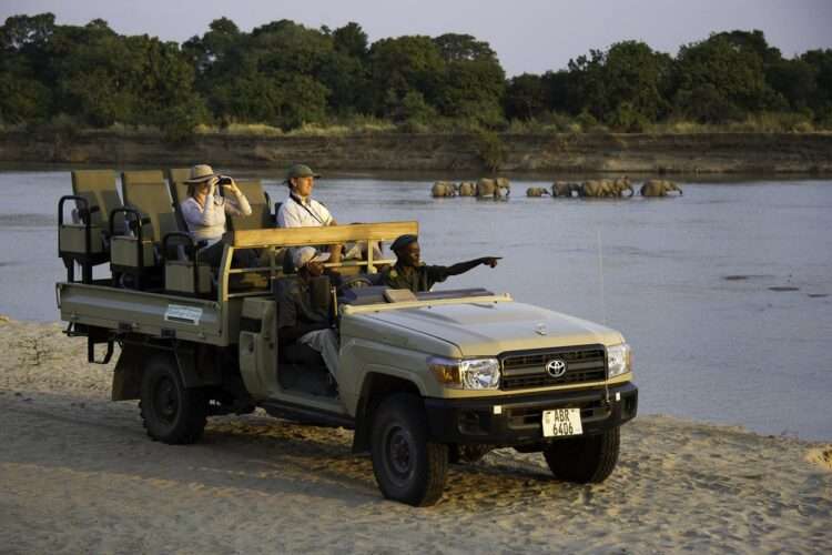 10 Day Luangwa Discovery Safari