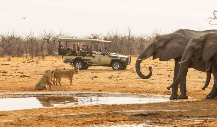 Botswana Luxury Lodge Safari