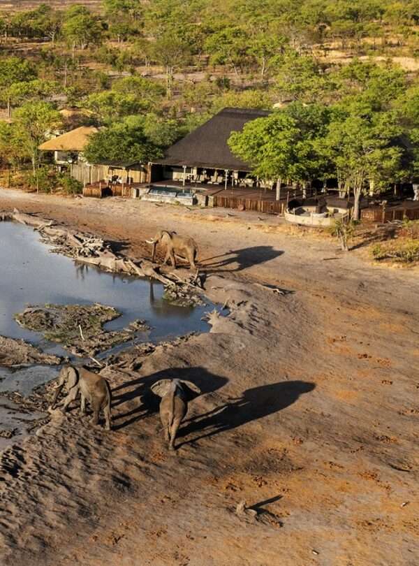 Victoria Falls, Chobe River And Hwange