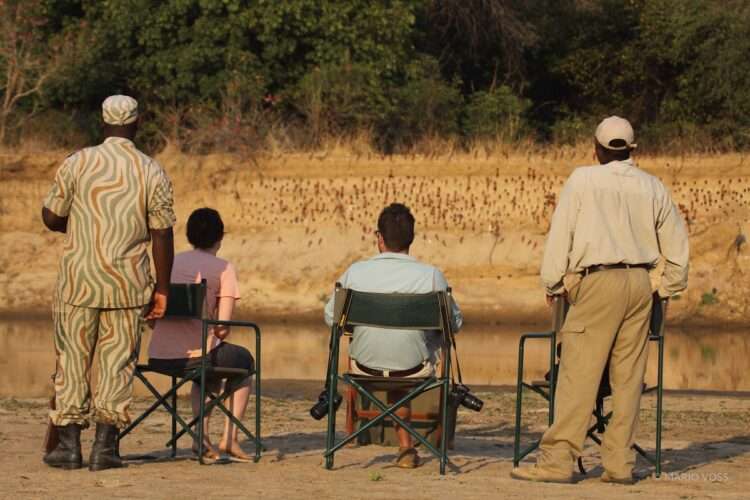 10 Day Luangwa Discovery Safari