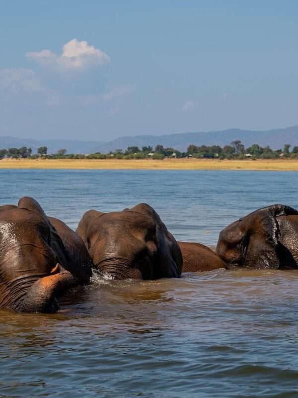 Hwange And Kariba Adventure