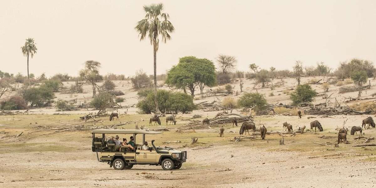 Botswana Luxury Lodge Safari