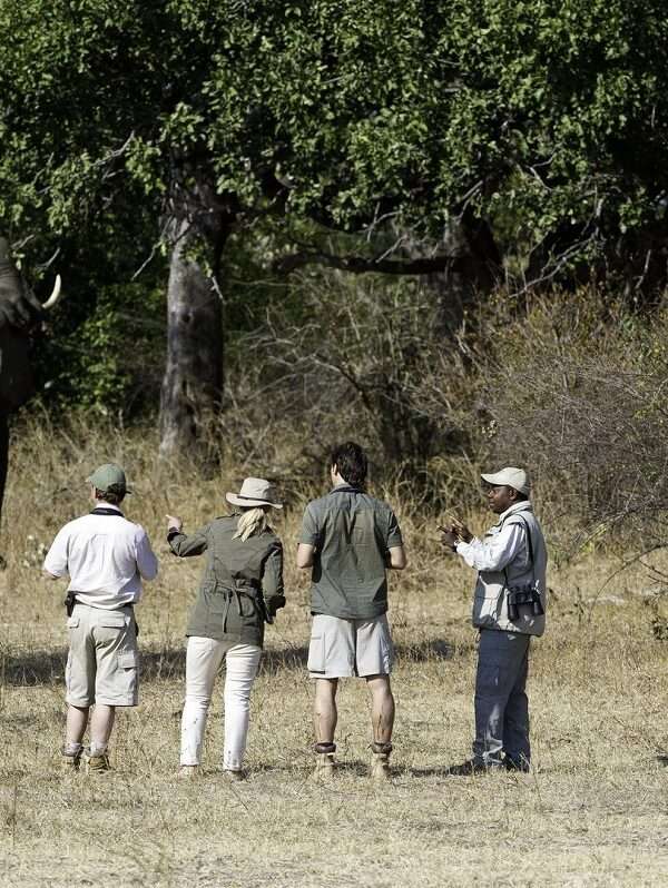 10 Day Luangwa Discovery Safari