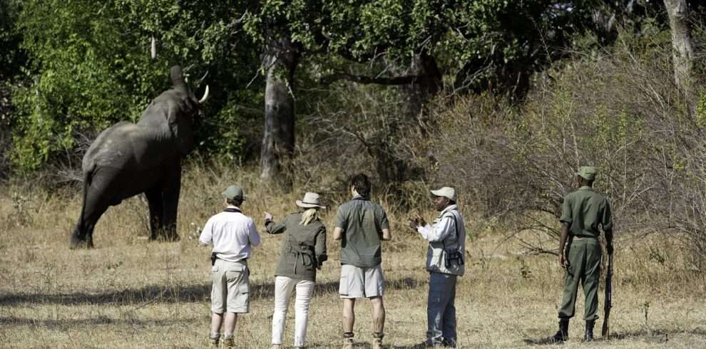 10 Day Luangwa Discovery Safari