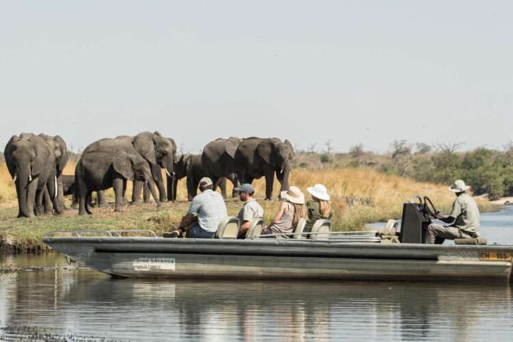 safaris and tours