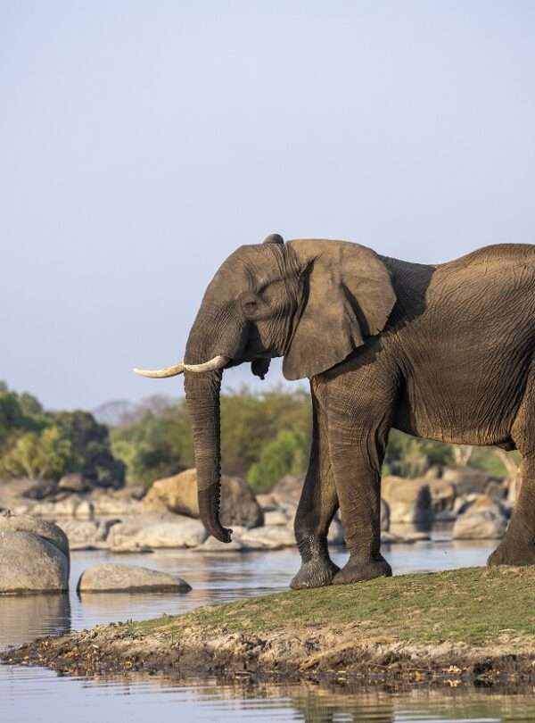 Kafue National Park