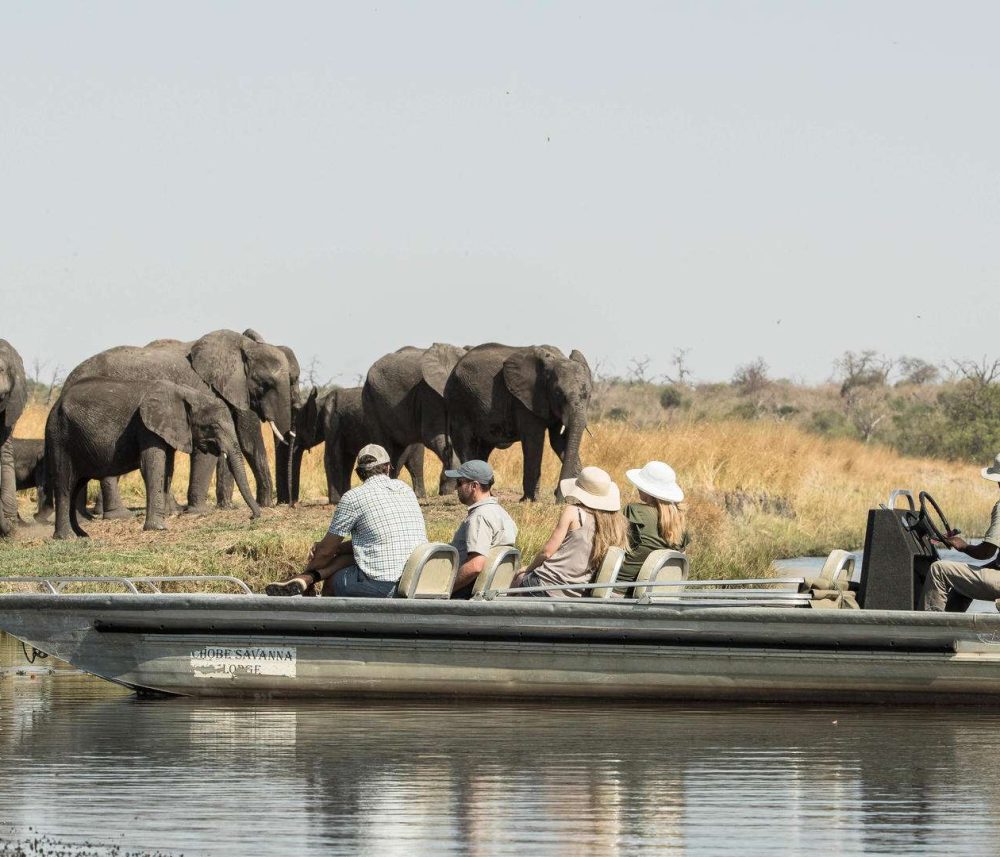 safaris and tours